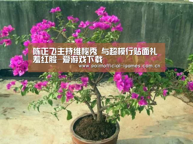 爱游戏下载